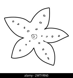 Seestern-Symbol, Umrissvektor Seestern-Schild. Lineares Piktogramm isoliert auf weiß. Symbol, Logo-Abbildung. Ocean Underwater Life-Konzept. Hand d Stock Vektor