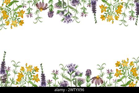 Rechteckiger Rand am oberen und unteren Rand von Blumen und Wiesengräsern von Lungenkraut, Echinacea, Heidekraut, Hypericaceae, Oregano, handbemalt Stockfoto