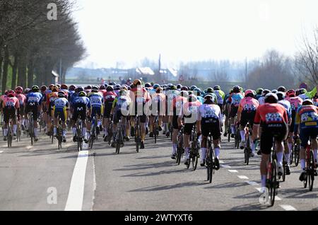 De Panne, Belgien. März 2024. Die Gruppe von Fahrern, die während des eintägigen Rennens „Classic Brugge-de Panne“ der Herren in Aktion gezeigt wurden, 198, 9 km von Brügge nach de Panne, Mittwoch, den 20. März 2024. BELGA FOTO LAURIE DIEFFEMBACQ Credit: Belga News Agency/Alamy Live News Stockfoto