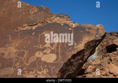 Petroglyphen in Twyfelfontein, Damaraland, Namib-Wüste, Namibia, Südafrika Stockfoto