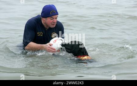 01.01.11. Ein Zuschauer-labrador nimmt an dem Spaß Teil und stiehlt den Spielern des Gosport Football Club einen Fußball, der sich mehr als 200 Schwimmern in einem Chil angeschlossen hat Stockfoto