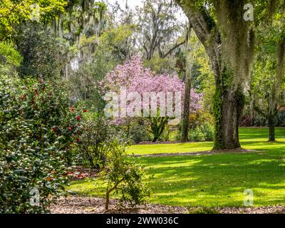 Bok Tower Gardens ist ein National Historic Landmark im National Register of Historic Places auf dem Iron Mointain im Lake Wales Florida USA Stockfoto