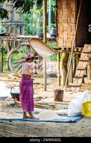 Eine Indianerin, die Getreide auf Majuli Island, Assam, Indien winkt Stockfoto