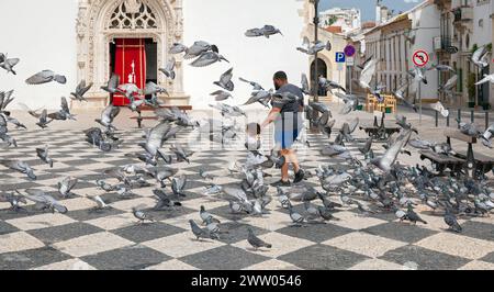 Portugal, Tomar, Junges Kind spielt unter den Tauben in Praca da República Stockfoto