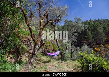 Europa, Portugal, Bezirk Coimbra, in der Nähe von Góis, Coicoos, Terrassenfelder auf einem abgelegenen Hügel mit einer Hängematte Stockfoto