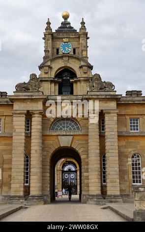 Eine Pflanzenstudie und ein Herrenhaus, Schloss Blenheim Stockfoto