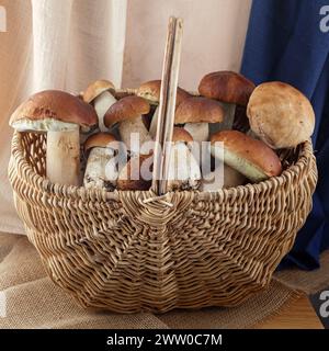 Boletus Pilze, ölig in einem Korb. Herbstsaison und Stimmung. Stockfoto