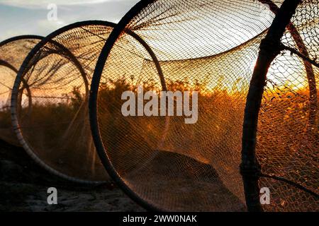 Traditionelle Fischernetze trocknen bei Sonnenuntergang am Ufer des Sees, Polen, Jastarnia Stockfoto