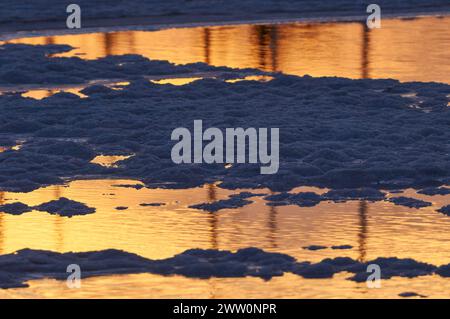 Kleine Salzhaufen bei Sonnenuntergang in Salinas d’en Ferrer in der Nähe von La Savina (Naturpark SES Salines, Formentera, Pityuses, Balearen, Spanien) Stockfoto