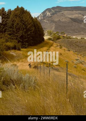 Cody, Wyoming, USA, westliche Landschaft mit Blick auf Berge und Hügel entlang einer langen Linie von Drahtzäunen. Vögel sitzen im Spätsommer oder Herbst auf Zaunpfosten. Stockfoto