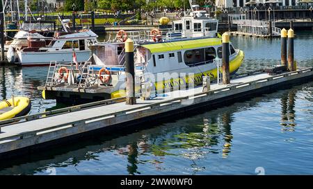 Prince of Whales, Abenteuer Walbeobachtung Boot an einem Dock im inneren Hafen von Victoria gefesselt. Stockfoto