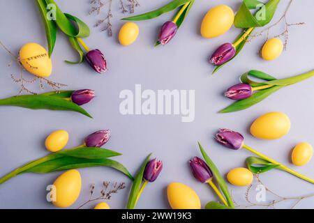 Kreisförmiges Layout mit gelben Ostereiern, violetten Tulpenblüten auf pastelllilafarbenem Hintergrund. Draufsicht, flach, Kopierbereich. Stockfoto