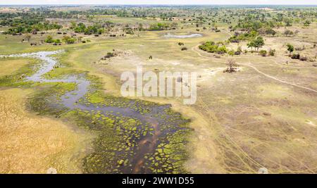 Luftaufnahme des Okavango Delta, Botswana Stockfoto