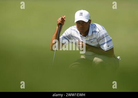 Tiger Woods bei der US PGA Championship. Hazeltine National GC, Chaska, Minnesota, USA. August 2009. Der beste Golfer aller Zeiten. Tiger Woods Stockfoto