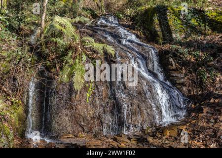 Rivière prête à se déverser dans la Vézère Stockfoto