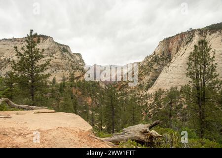 Glatte und weiße Wände der Canyons vom Ostrand des Zion-Nationalparks Stockfoto