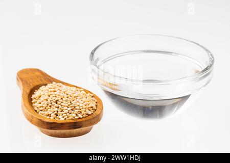 Quinoa-Getreide in Wasser getränkt - Chenopodium quinoa Stockfoto