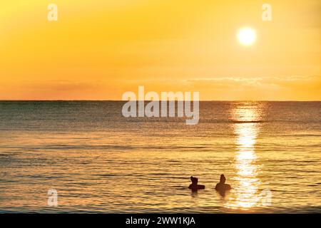 Zwei weibliche Wildschwimmer bei Sonnenaufgang in der Nordsee mit goldenem Sonnenhimmel und Meeresspiegeln Stockfoto