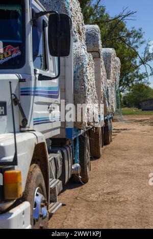 Baumwollproduktion, die per LKW an die Fabriken versandt werden kann. Stockfoto