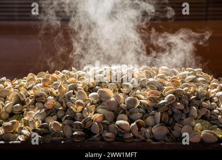 Gedämpfte Muscheln Stockfoto