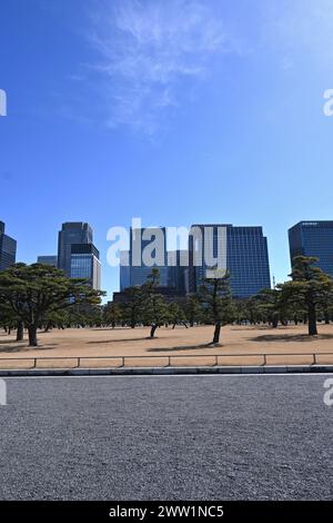 Skyline des Büroviertels Marunouchi vom Nationalgarten Kokyo Gaien – Chiyoda, Tokio, Japan – 28. Februar 2024 Stockfoto