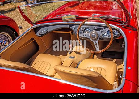 Cockpit 1952 Austin Healey 100 zweisitziger Sportwagen Stockfoto