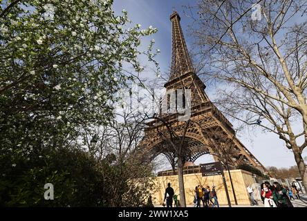 Paris, Frankreich. März 2024. Bäume blühen am Champ de Mars in der Nähe des Eiffelturms in Paris, Frankreich, 20. März 2024. Quelle: Gao Jing/Xinhua/Alamy Live News Stockfoto