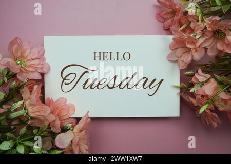 Hallo Dienstag Typografie Text mit Blumen auf pinkfarbenem Hintergrund Stockfoto
