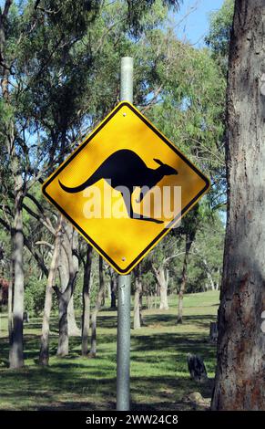 Gelbes Känguruüberquerungsschild im australischen Busch Stockfoto