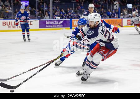 20. März 2024: Hartford Wolf Pack Verteidiger Nikolas Brouillard (27) skatet in der ersten Periode gegen die Rochester-Amerikaner. Die Rochester Americans veranstalteten das Hartford Wolf Pack in einem Spiel der American Hockey League in der Blue Cross Arena in Rochester, New York. (Jonathan Tenca/CSM) Stockfoto