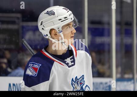 20. März 2024: Hartford Wolf Pack Stürmer Mac Hollowell (81) Skates in der zweiten Periode gegen die Rochester Americans. Die Rochester Americans veranstalteten das Hartford Wolf Pack in einem Spiel der American Hockey League in der Blue Cross Arena in Rochester, New York. (Jonathan Tenca/CSM) Stockfoto