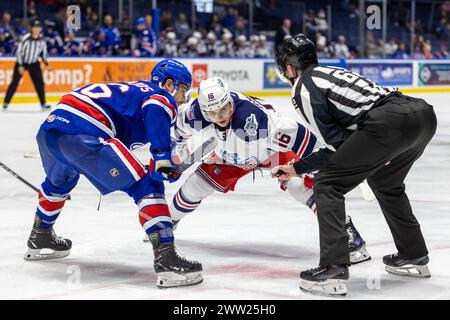 20. März 2024: Hartford Wolf Pack Stürmer Jake Leschyshyn (16) Skates in der dritten Periode gegen die Rochester Americans. Die Rochester Americans veranstalteten das Hartford Wolf Pack in einem Spiel der American Hockey League in der Blue Cross Arena in Rochester, New York. (Jonathan Tenca/CSM) Stockfoto