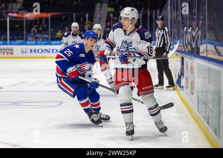 20. März 2024: Hartford Wolf Pack Stürmer Jake Leschyshyn (16) Skates in der dritten Periode gegen die Rochester Americans. Die Rochester Americans veranstalteten das Hartford Wolf Pack in einem Spiel der American Hockey League in der Blue Cross Arena in Rochester, New York. (Jonathan Tenca/CSM) Stockfoto