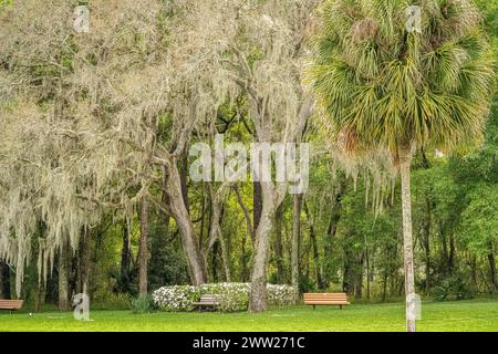 Bänke rund um ein Grabgebiet auf dem Florida National Cemetery, einem Friedhof für US-Militärveteranen, in Bushnell, Florida. (USA) Stockfoto