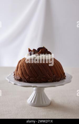 Ein Schokoladenkuchen auf einem weißen Teller Stockfoto