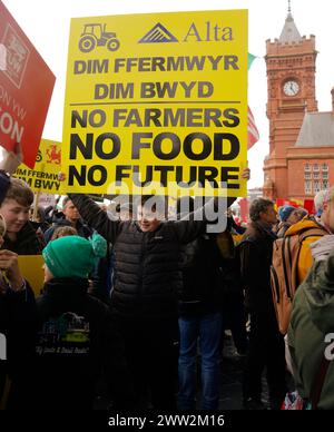 Die walisischen Bauern demonstrieren am 28. Februar 2024 in Senedd, Cardiff, Wales Stockfoto