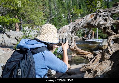 Frau, die Fotos mit dem Smartphone macht. Gefallener Baumstamm, der die Lower Eagle Falls umrahmt. Emerald Bay. Lake Tahoe. Kalifornien. Stockfoto