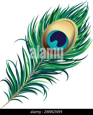 Pfauenfeder Vektor-Illustration für Dekoration, Janmashtami, Feder-Logo Stock Vektor