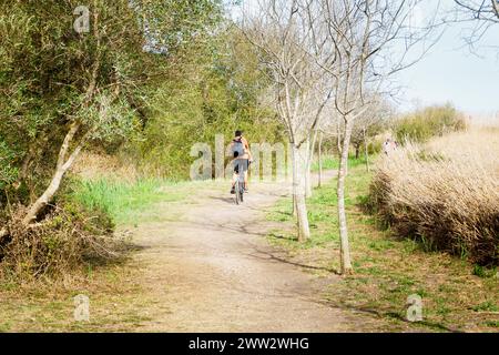 Marjal de Pego-Oliva Wetland Naturpark, Valencia Stockfoto