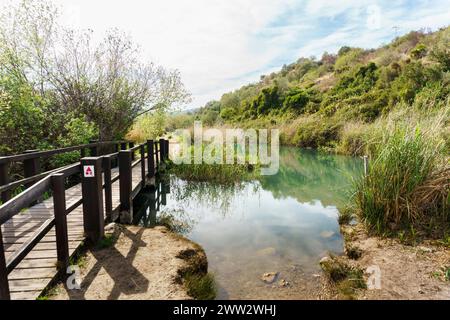 Marjal de Pego-Oliva Wetland Naturpark, Valencia Stockfoto