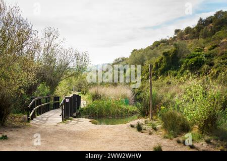 Marjal de Pego-Oliva Wetland Naturpark, Valencia Stockfoto