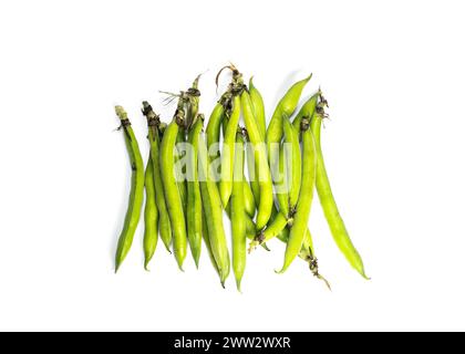 Broad Beans Isoliert Auf Weißem Hintergrund Stockfoto