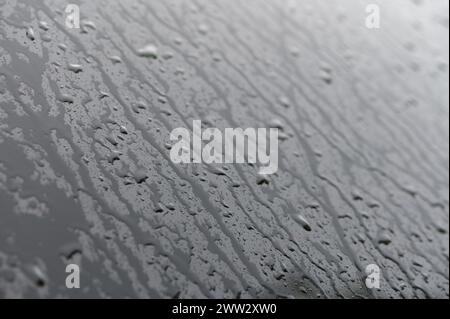 Eine kleine Regentropfen ruht auf das Glas nach Regen. Stockfoto