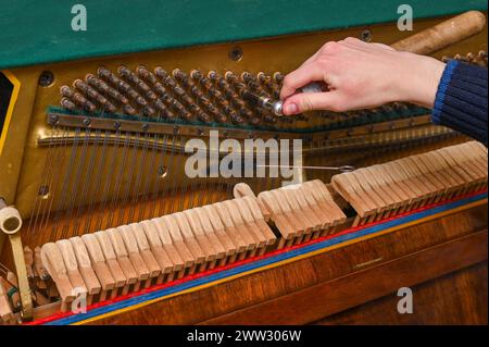 Der Stimmgerät hat ein Klavierstimminstrument in der Hand. Stockfoto