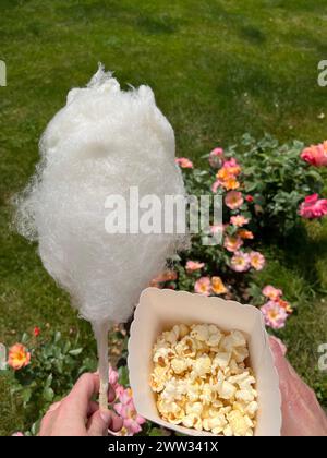 Große weiße Zuckerwatte und ein Topf Popcorn auf grünem Gras und Rosen Hintergrund. Kinderkonzept Stockfoto