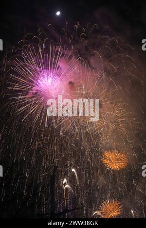 Das wunderschöne Feuerwerk in verschiedenen Farben und Formen explodiert am Himmel von Valencia während der Fallas-Feier Stockfoto