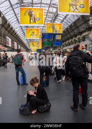 Paris, Frankreich, große Menschenmenge, Touristen, Reisende, historischer französischer Bahnhof, Frau sitzt im Zentrum der belebten Halle, Gare de l’Est » Stockfoto