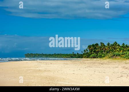 Paradiesischer Strand umgeben von Kokospalmen in Serra Grande an der Südküste von Bahia, Bahia, Brasilien Stockfoto