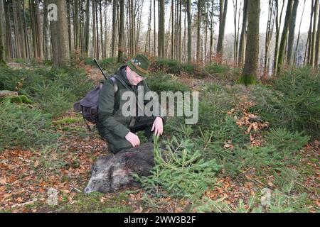 Wildschweinjagd, Jäger mit einem Wildschwein (Sus scrofa) im Wald, Allgaeu, Bayern, Deutschland Stockfoto