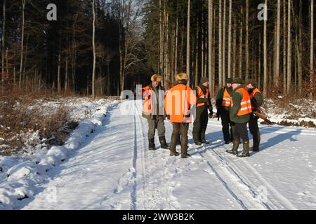 Wildschweine (Sus scrofa) Jäger in Warnkleidung im Schnee, Allgäuer, Bayern, Deutschland Stockfoto